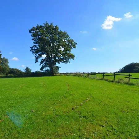 In Saint Vith With Terrace Ferienhaus