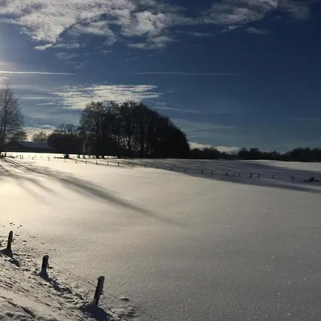 In Saint Vith With Terrace Dom wakacyjny