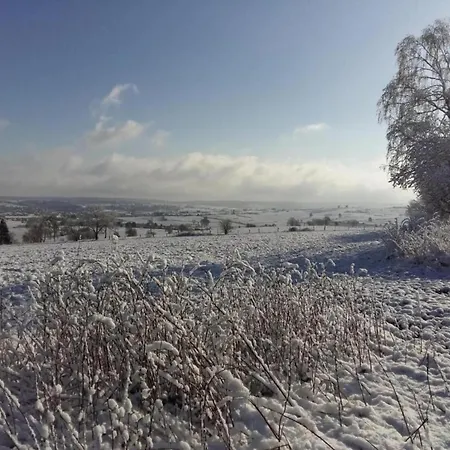 In Saint Vith With Terrace Schoenberg